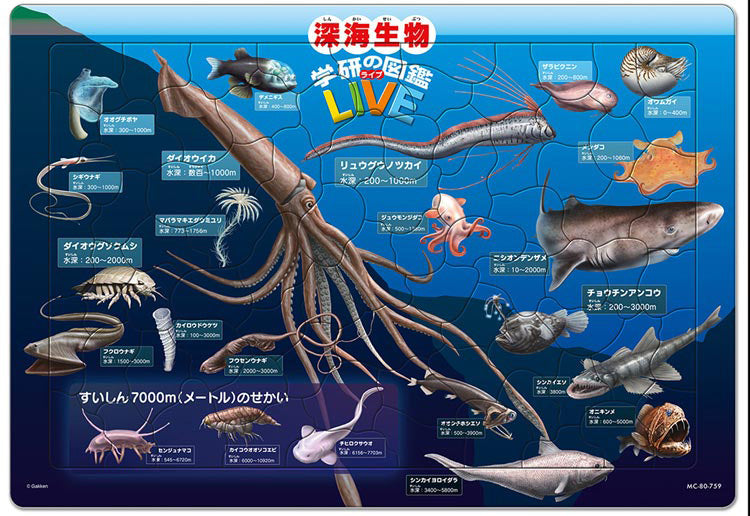 兒童向- 深海生物學研的圖鑑LIVE 80塊(26×37.5cm) – Puzzle N Toys