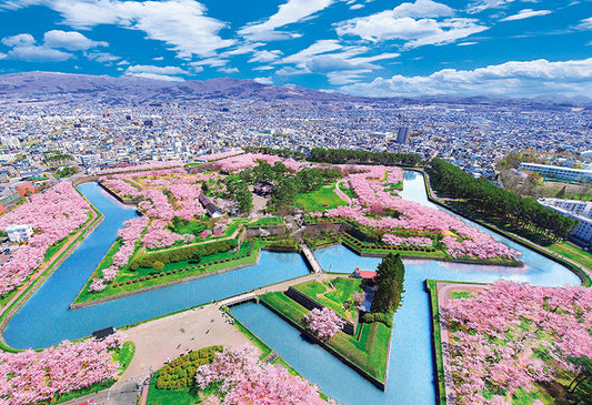 日本風景 - 櫻花盛開的五稜郭 300塊 (26×38cm)