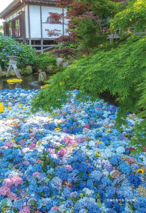 日本風景 - 茨城縣雨引觀音 300塊 (26×38cm)