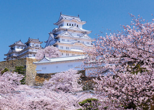 日本風景 - 櫻花飄香的姬路城 500塊 (38×53cm)