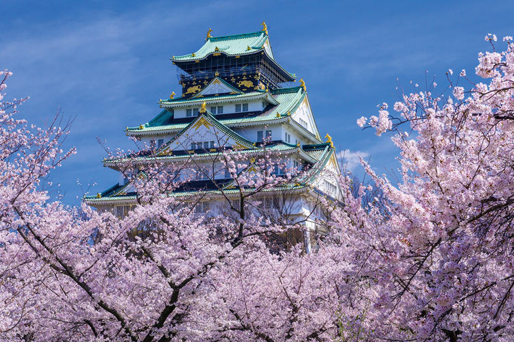 日本風景 - 櫻花盛開的大阪城 1000塊 (50×75cm)