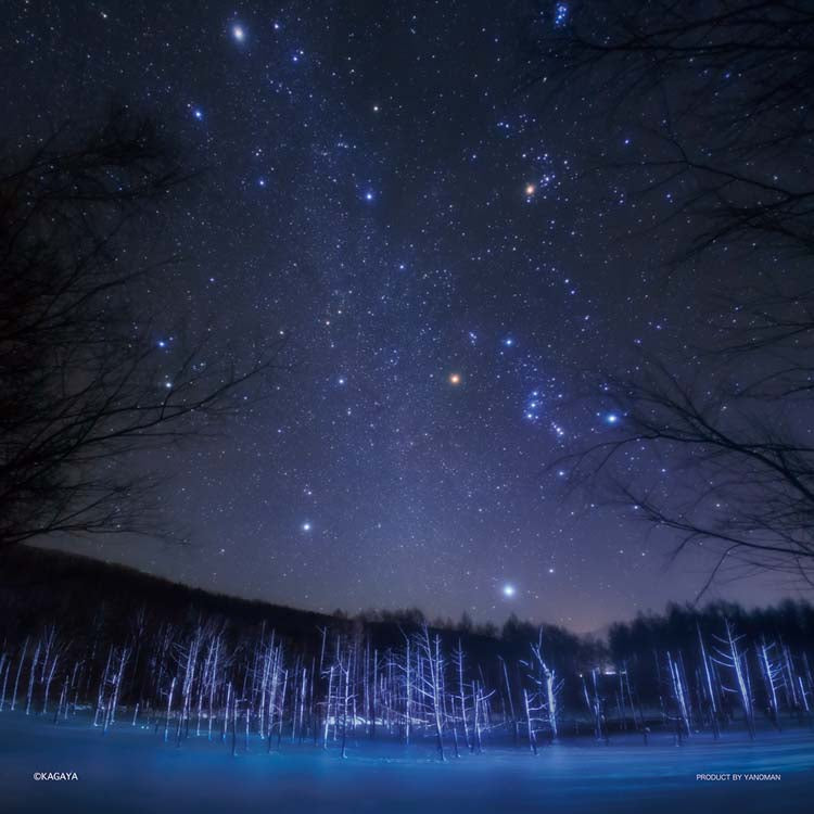 日本風景 - 美瑛町星空 306塊 (25×25cm)