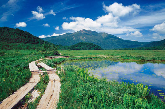 日本風景 - 群馬縣山田 1000塊 (50×75cm)