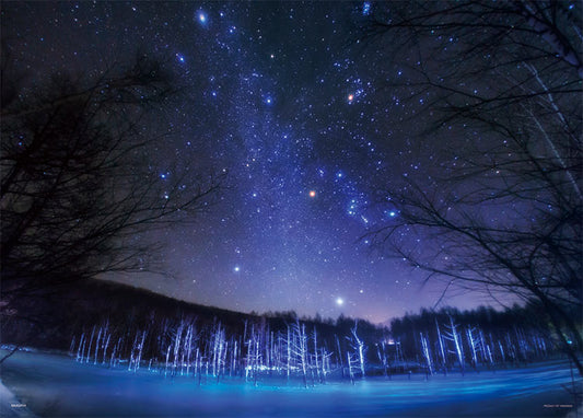 (夜光) 日本風景 - 落在美瑛的天上星星 500塊 (38×53cm)