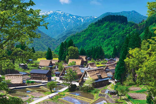 日本風景 - 五箇山 1000塊 (50×75cm)