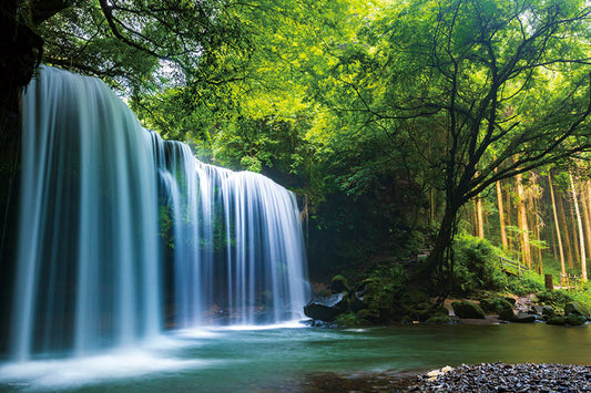 日本風景 - 熊本縣療之水簾 1000塊 (50×75cm)