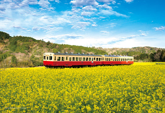 日本風景 - 茶花田間之列車 300塊 (26×38cm)