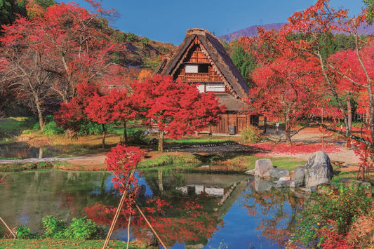 日本風景 - 秋色染紅之白川鄉 1000塊 (50×75cm)