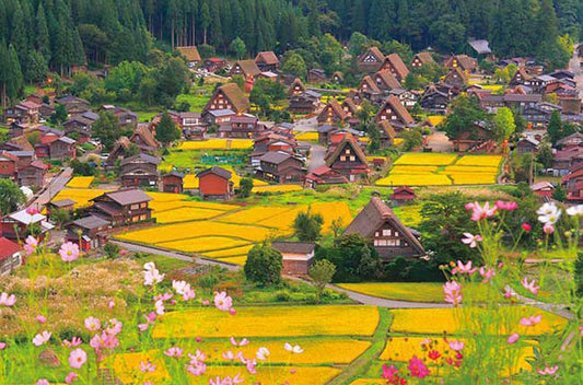 日本風景 - 大波斯菊搖曳的白川鄉 1000塊 (50×75cm)