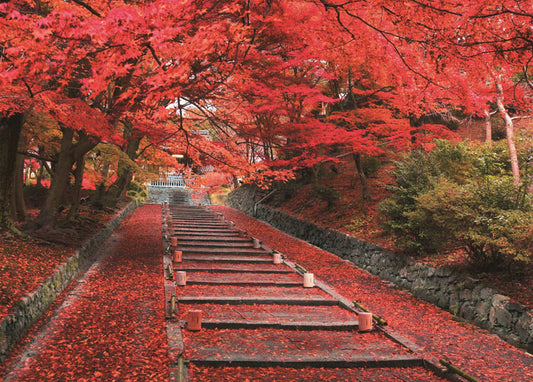 日本風景 - 毘沙門堂参道 500塊 (38×53cm)