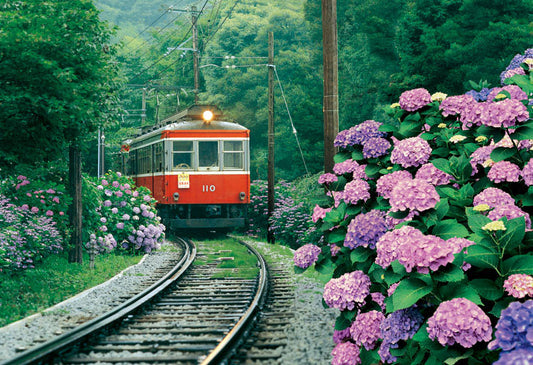 日本風景 - 箱根登山電車鐵道 300塊 (26×38cm)