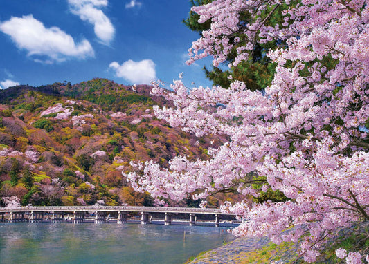 日本風景 - 櫻花盛開之渡月橋 500塊 (38×53cm)