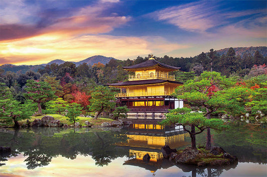 日本風景 - 京都金閣寺 1000塊 (50×75cm)